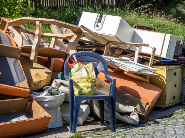 Best Electronics Removal Services  in Hampshire, IL